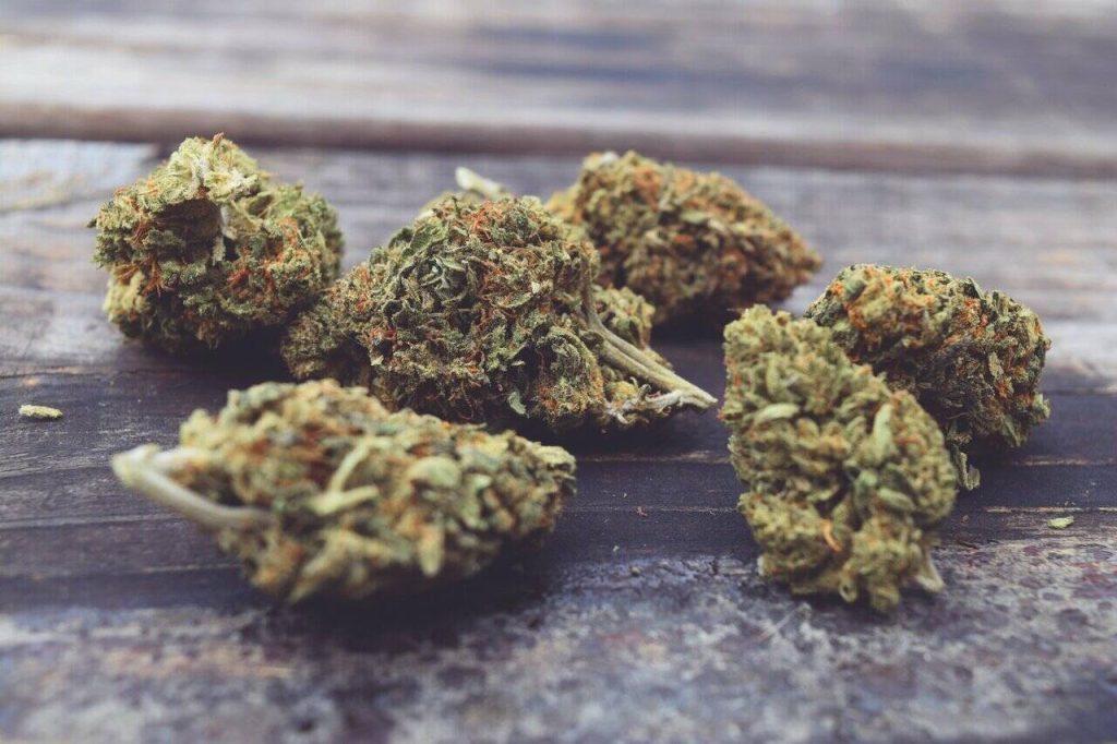 Raw Cannabis