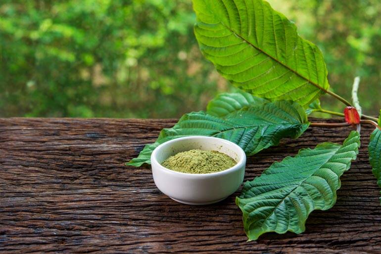 Best Kratom Vendor